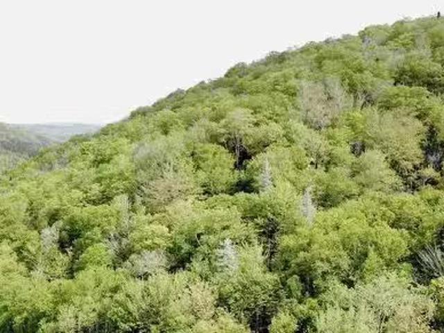 House for sale in Nova Scotia