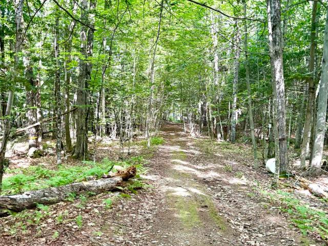 Land for sale in New Hampshire