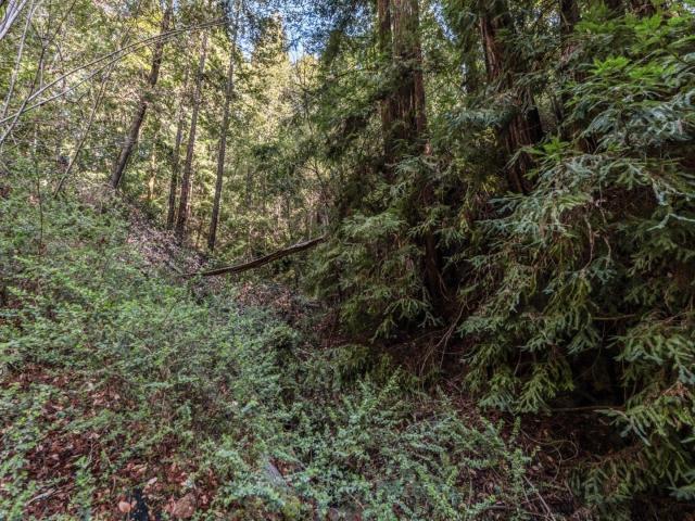 Land for sale in Felton