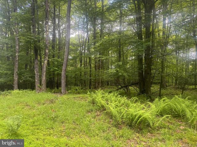 Land for sale in Garrett, Maryland
