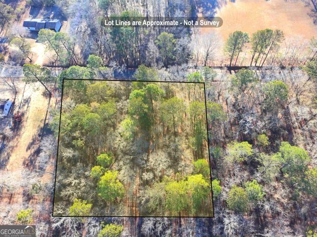 Land for sale in Dudley, Georgia