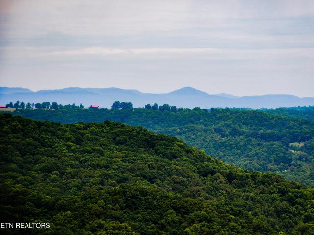 Land for sale in Tennessee