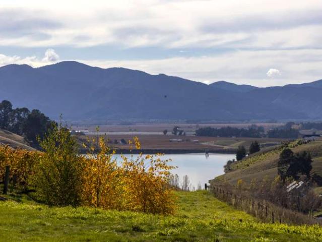 Land for sale in Renwick, Marlborough