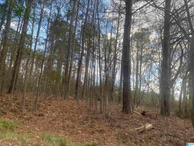 Land for sale in Roanoke, Alabama
