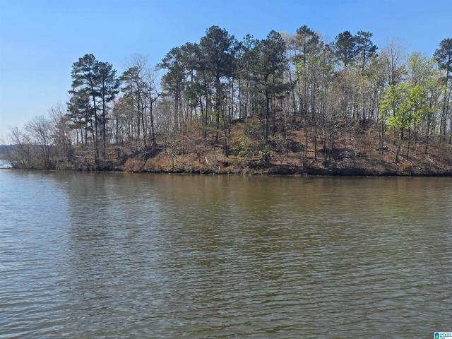 Land for sale in Coosa, Alabama