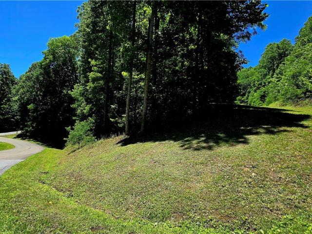 Land for sale in Todd, North Carolina
