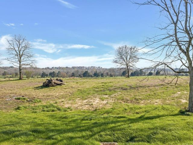 Land for sale in Rainsville, Alabama