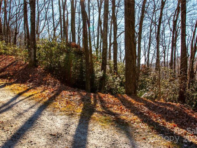 Land for sale in Transylvania, North Carolina