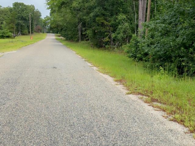 Land for sale in Waynesboro, Georgia