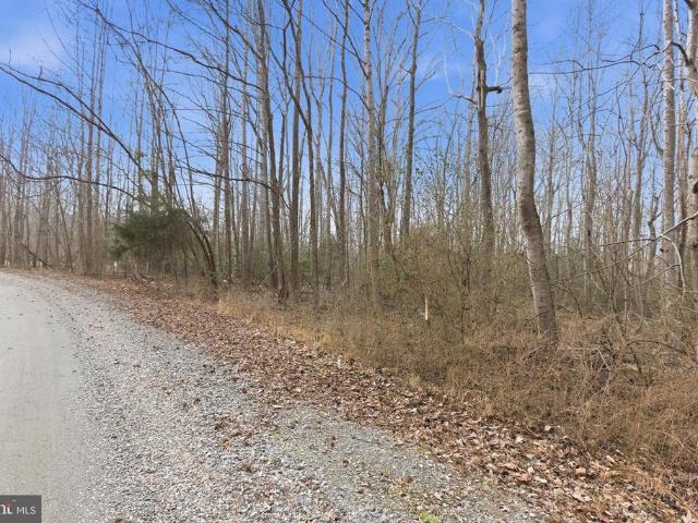 Land for sale in Virginia