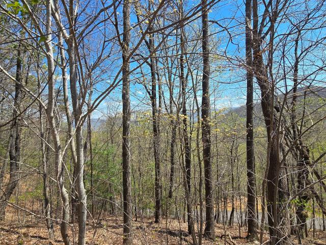 Land for sale in Young Harris, Georgia