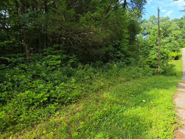 Land for sale in Tennessee