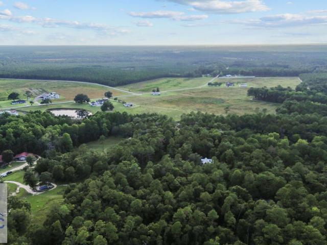 Land for sale in Jesup, Georgia