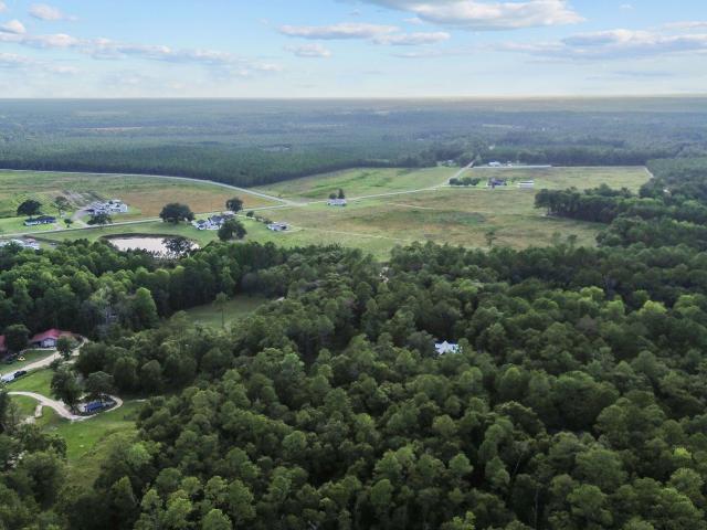 Land for sale in Jesup, Wayne County
