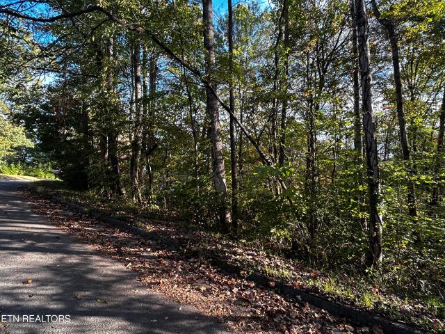 Land for sale in Tennessee