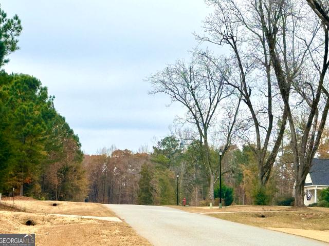 Land for sale in Waverly Hall, Georgia