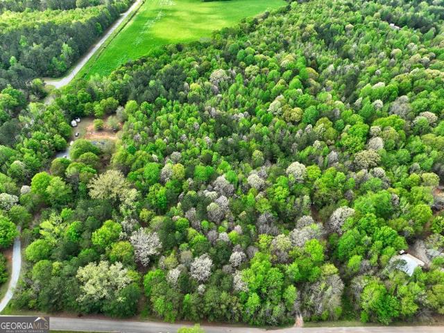 Land for sale in Monticello, Georgia