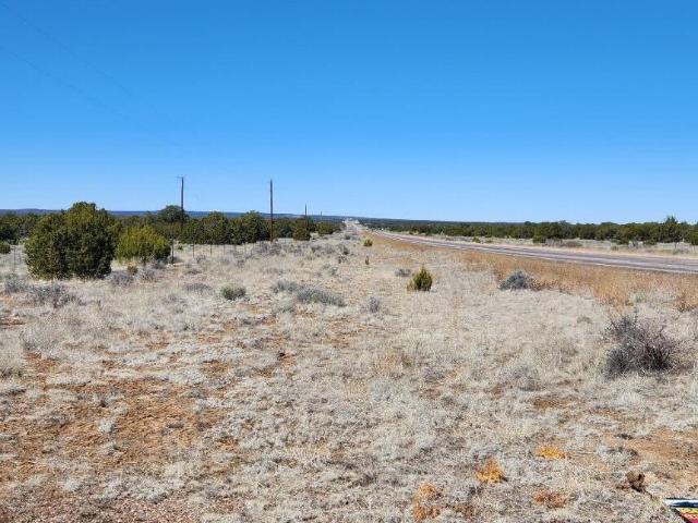 Land for sale in Fence Lake, New Mexico