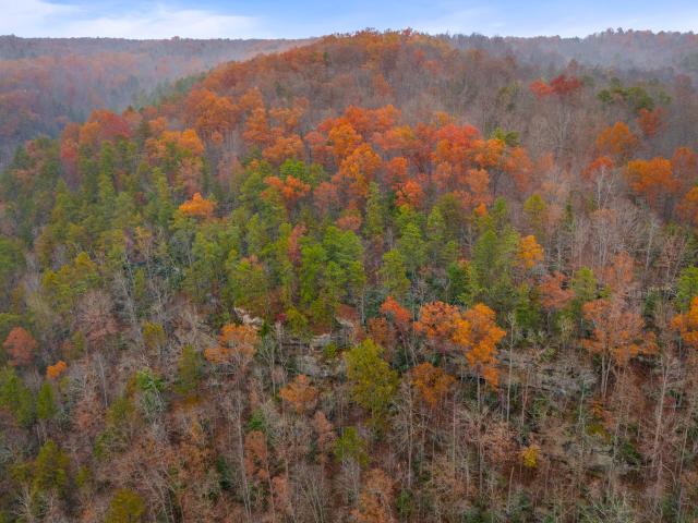 Land for sale in Beattyville, Kentucky