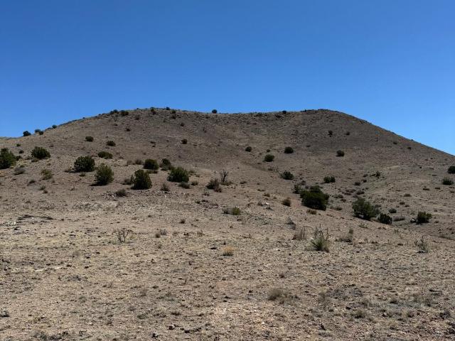 Land for sale in New Mexico