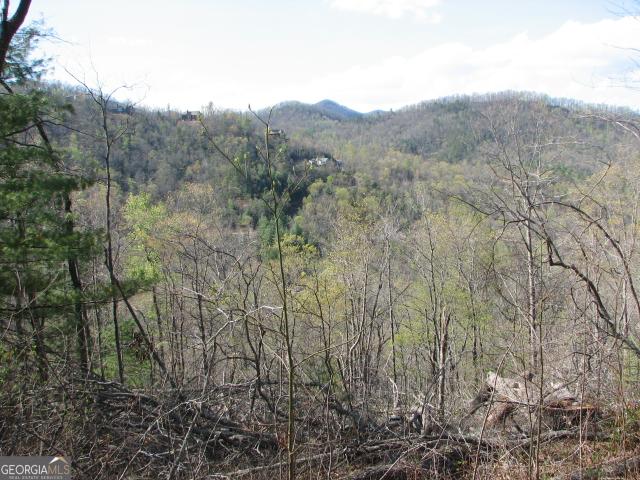 Land for sale in Dillard, Georgia