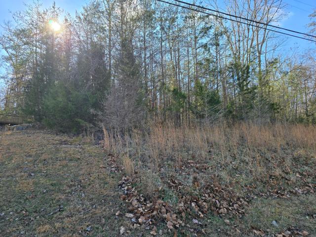 Land for sale in Burnside, Kentucky