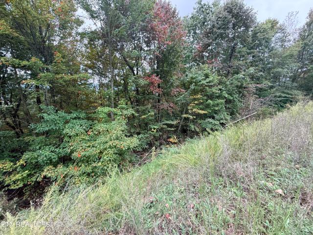Land for sale in Tennessee