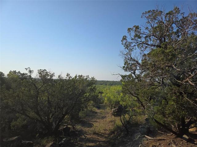 Land for sale in Mineral Wells, Texas