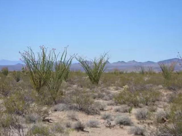 House for rent in Kingman, Arizona