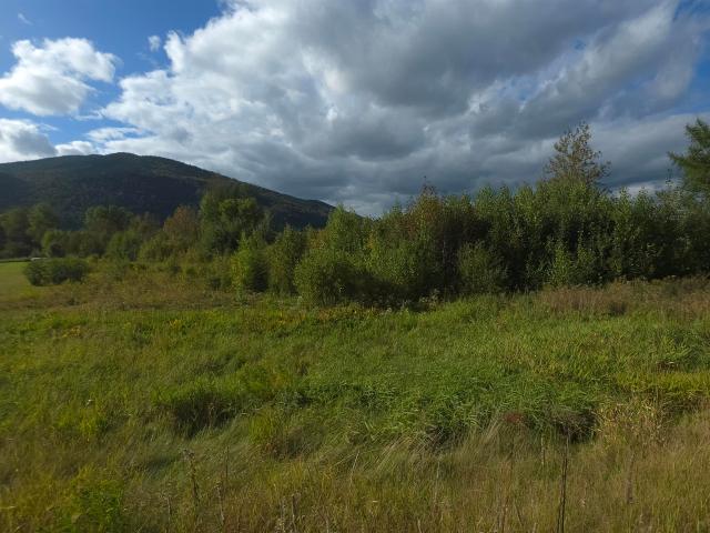 Land for sale in Colebrook, Coös County