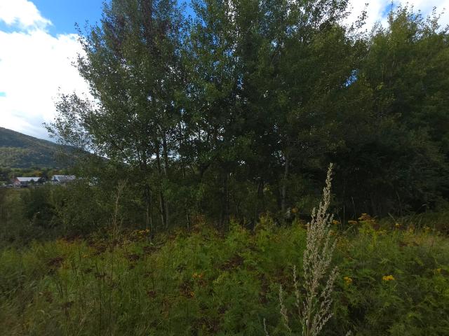 Land for sale in Colebrook, Coös County
