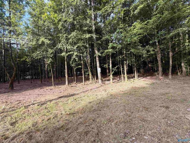 Land for sale in Centre, Alabama