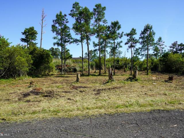 Land for sale in Virginia