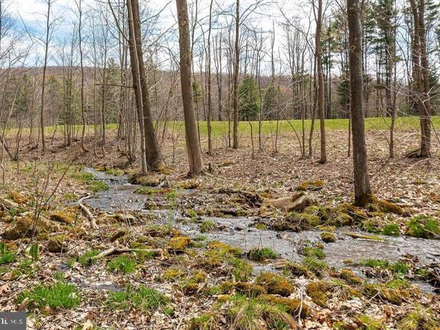 Land for sale in Garrett, Maryland
