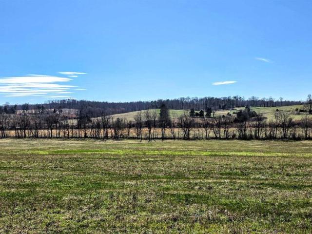 Land for sale in Burtonville, Ruckersville
