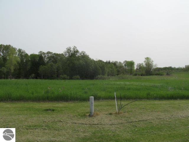 Land for sale in Mc Bain, Michigan