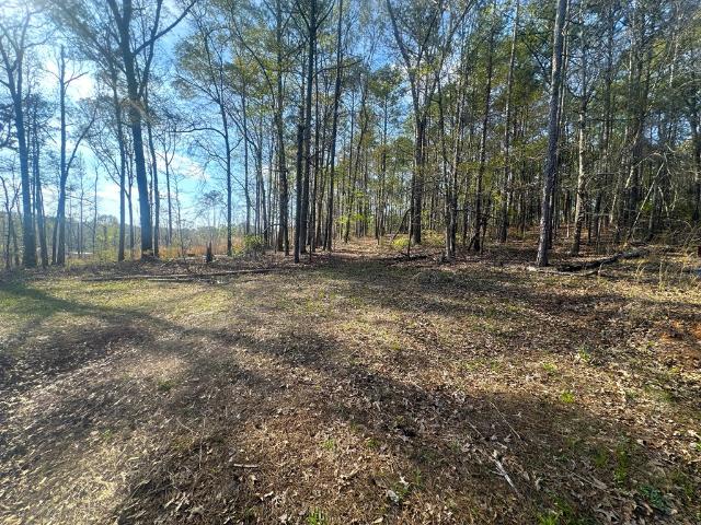 Property for sale in Waverly Hall, Georgia