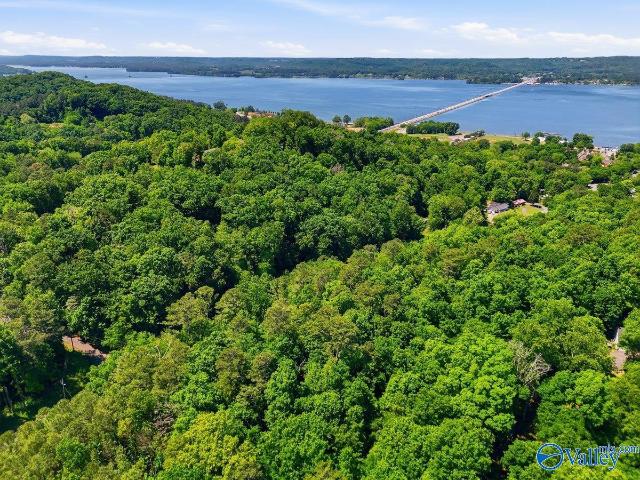 Land for sale in Guntersville, Alabama