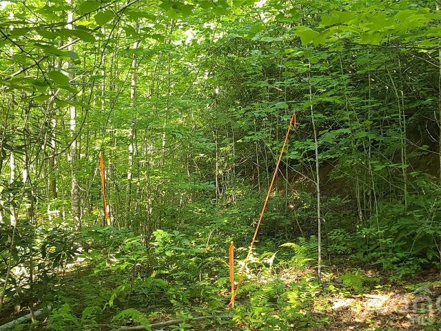 Land for sale in Old Fort, North Carolina