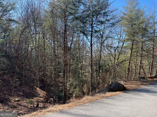 Land for sale in Hayesville, North Carolina