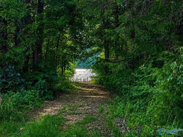 Land for sale in Cedar Bluff, Cherokee County