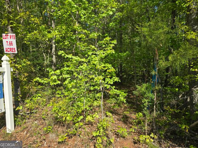 Land for sale in Upson, Georgia