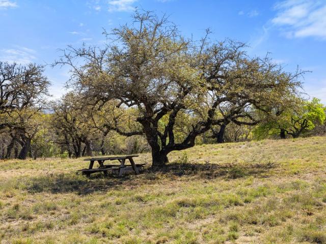 Land for sale in Blanco, Texas