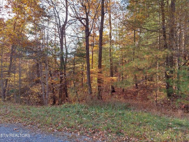 Land for sale in Tennessee