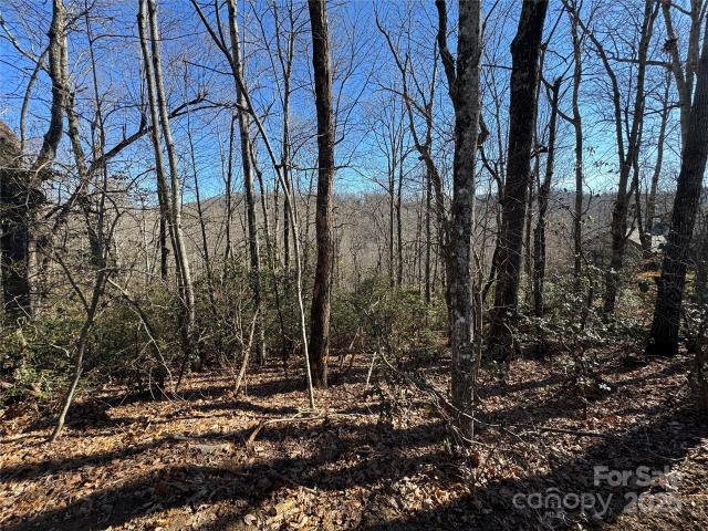 Land for sale in Transylvania, North Carolina
