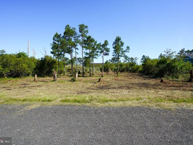 Land for sale in Virginia