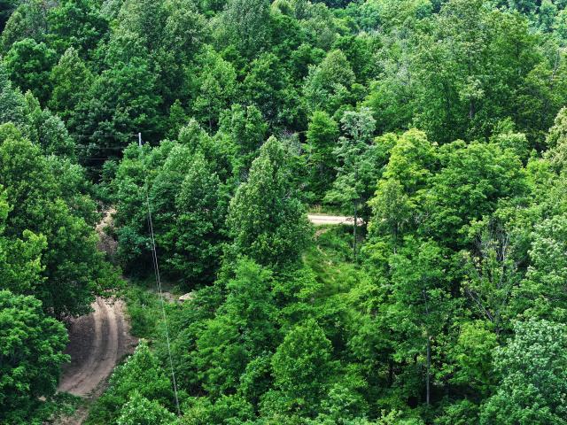 Land for sale in Irvine, Kentucky