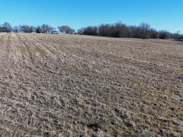 Land for sale in Morrisville, Missouri