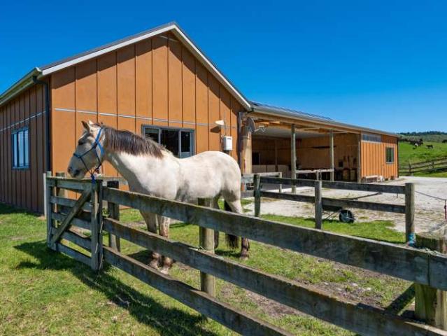 Land for sale in Kinloch, Waikato