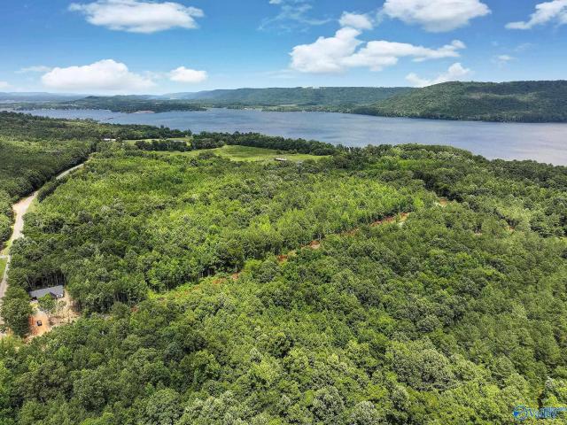 Land for sale in Langston, Alabama